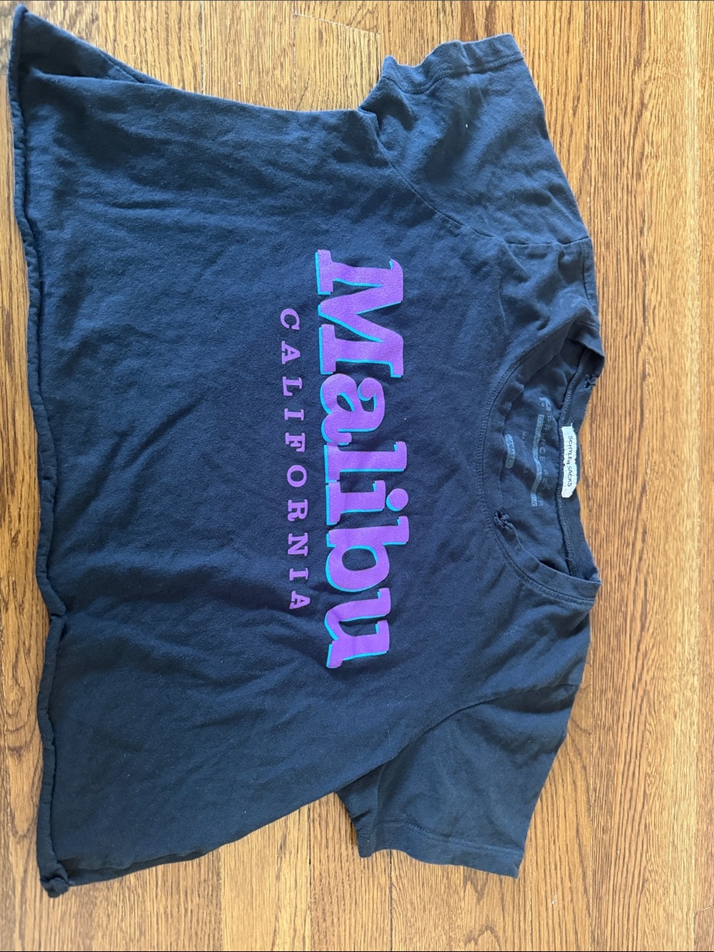Prince Peter Collection Black Crop Tee with Purple Malibu Graphic